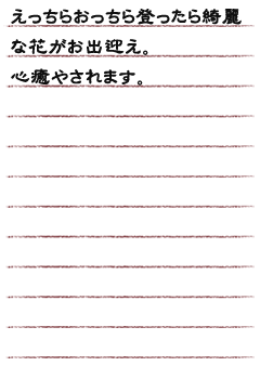 えっちらおっちら登ったら綺麗な花がお出迎え。　心癒やされます。