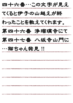 四十六番…この文字が見えてくると伊予の山越えが終わったことを教えてくれます。第四十六番 浄瑠璃寺にて第四十七番 八坂寺山門に…猫ちゃん発見!!