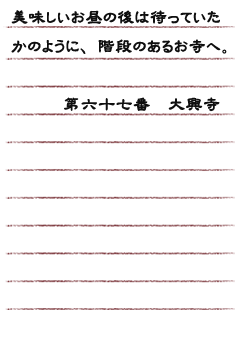 美味しいお昼の後は、待っていたかのように階段のあるお寺へ。第六十七番　大興寺