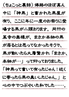 （ちょこっと裏話）帰路のほぼ真ん中に「神馬」と書かれた馬屋が有り、ここに年に一度のお祭りに登場する馬が二頭おります。同行の某寺の奥様が、まさか本物の馬が居るとは思ってなかったそうで、馬が動いたら大層驚かれ「まさか、本物が…」って仰っておりました。「神馬って書いて有ったじゃん！近くに寄ったら馬の臭いしたじゃん。」と心の中でつぶやいた私でした…。