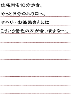 住宅街を１０分歩き、やっとお寺の入り口へ。ヤハリ・・・お遍路さんにはこういう景色の方が合いますな〜。