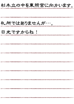 杉木立の中を東照宮に向かいます。札所ではありませんが…。日光ですからね！