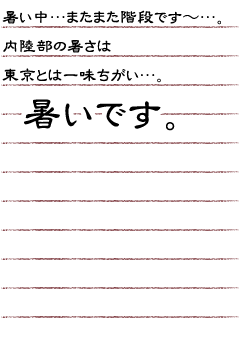 暑い中…またまた階段です〜…。内陸部の暑さは東京とは一味ちがい…暑いです。