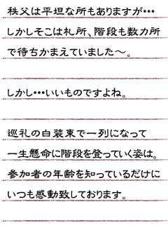 秩父は平坦な所もありますが・・・しかしそこは札所、階段も数カ所で待ちかまえていました。 しかし・・・いいものですよね。巡礼の白装束で一列になって一生懸命に階段を登っていく姿は。 参加者の年齢を知っているだけに いつも感動致しております。