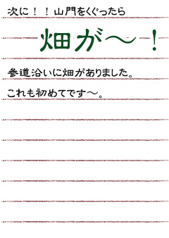 次に！！山門をくぐったら 畑が〜！！参道沿いに畑がありました。 これも初めてです〜。