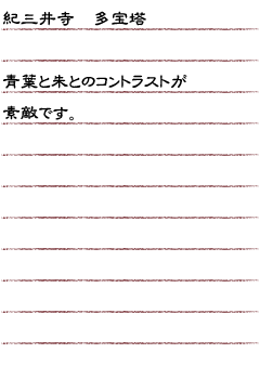 紀三井寺　多宝塔青葉と朱とのコントラストが素敵です。