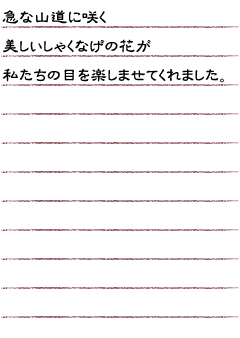 急な山道に咲く美しいしゃくなげの花が私たちの目を楽しませてくれました。