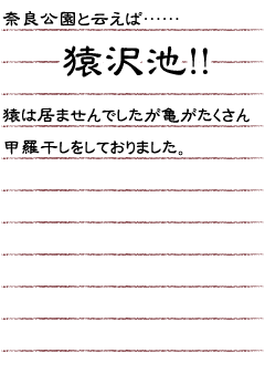 奈良公園と云えば…猿沢池！！猿は居ませんでしたが亀がたくさん甲羅干しをしておりました。