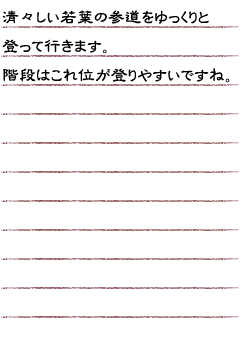 清々しい若葉の参道をゆっくりと登って行きます。階段はこれ位が登りやすいですね。