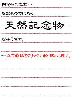 何やらこの石…ただものではなく天然記念物だそうです。（クリックで拡大）