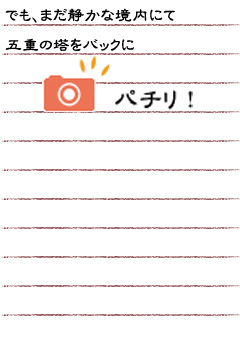 でも、まだ静かな境内にて五重の塔をバックにパチリ！（カメラ）