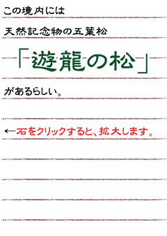 この境内には天然記念物の五葉松「遊龍の松」があるらしい。（クリックで拡大）