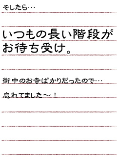 そしたら…いつもの長い階段がお待ち受け。街中のお寺ばかりだったので…忘れてました〜！