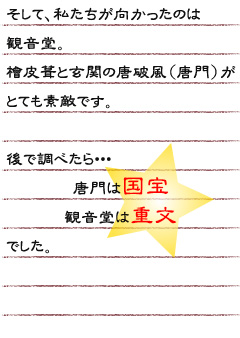 そして、私たちが向かったのは観音堂。檜皮葺と玄関の唐破風（唐門）がとても素敵です。後で調べたら唐門は国宝。観音堂は重文でした。