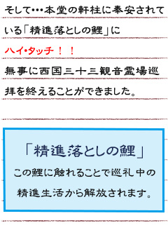 そして・・・本堂の軒柱に奉安されている「精進落としの鯉」にハイ・タッチ！！無事に西国三十三観音霊場巡拝を終えることができました。「精進落としの鯉」＝この鯉に触れることで巡礼中の精進生活から解放されます。