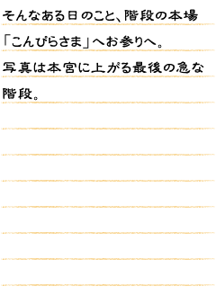 そんなある日のこと、階段の本場「こんぴらさま」へお参りへ。写真は本宮に上がる最後の急な階段。