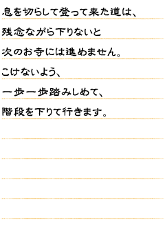 息を切らして登って来た道は、残念ながら下りないと次のお寺には進めません。こけないよう、一歩一歩踏みしめて、階段を下りて行きます。