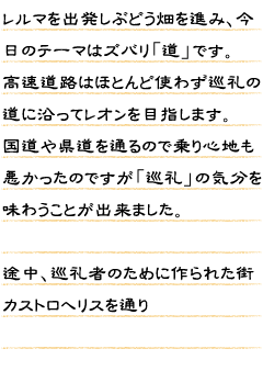 レルマを出発しぶどう畑を進み、今日のテーマはズバリ「道」です。高速道路はほとんど使わず巡礼の道に沿ってレオンを目指します。国道や県道を通るので乗り心地も悪かったのですが「巡礼」の気分を味わうことが出来ました。途中、巡礼者のために作られた街カストロへリスを通り