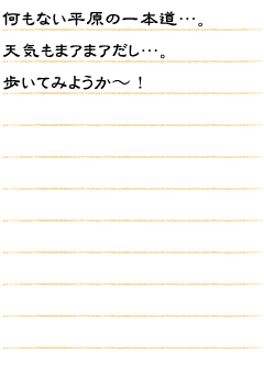 何もない平原の一本道…。天気もまアまアだし…。歩いてみようか〜！