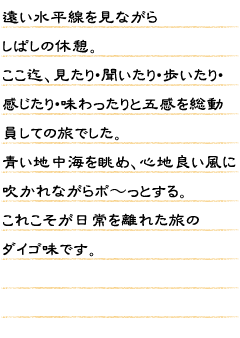 遠い水平線を見ながらしばしの休憩。ここ迄、見たり・聞いたり・歩いたり・感じたり・味わったりと五感を総動員しての旅でした。青い地中海を眺め、心地良い風に吹かれながらボ〜っとする。これこそが日常を離れた旅のダイゴ味です。