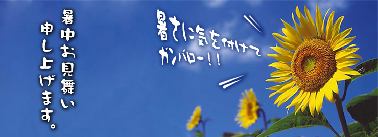 暑中見舞い